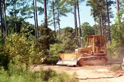 A bulldozer clearing brush in a wooded area