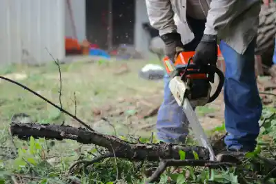 Arborist cutting tree with chainsaw | Elite Tree Surgeons Telford
