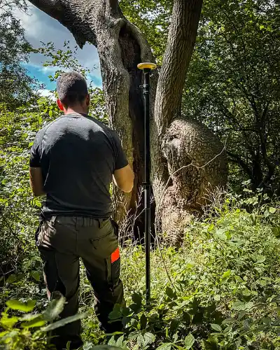 BS5837 Tree Survey