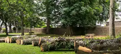 Cut logs remaining after Fallen Tree Removal | Elite Tree Surgeons Telford