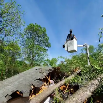 Emergency Tree Removal