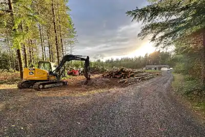 Land Clearing