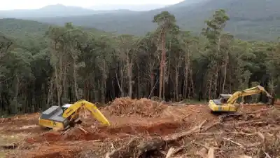 Land Clearing