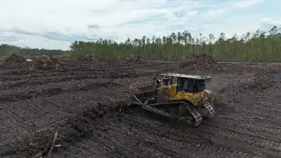 Land Clearing