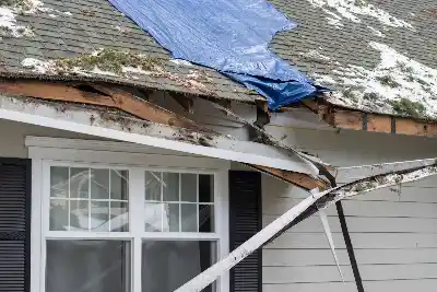 Storm Damage Cleanup