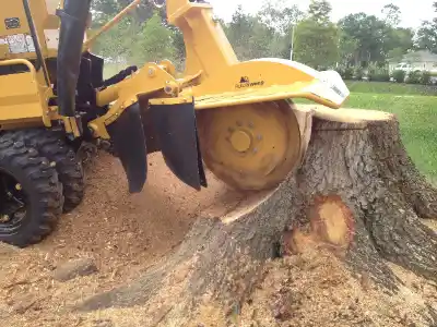 Stump Grinding & Removal