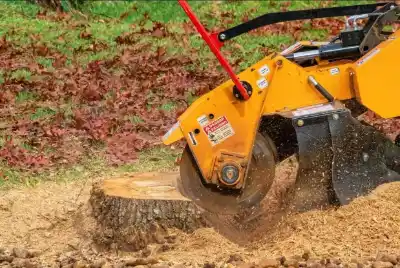 Stump Grinding & Removal