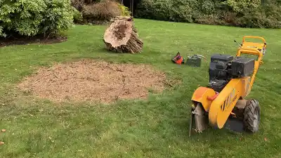 Stump Grinding & Removal