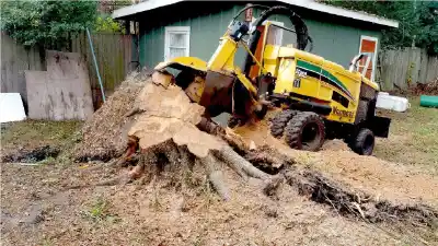 Stump Grinding & Removal