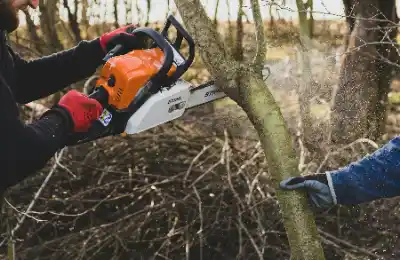 Tree felling with chainsaw | Elite Tree Surgeons Telford