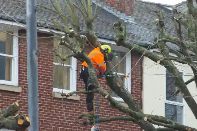 Tree worker in orange safety vest handling outdoor equipment | Elite Tree Surgeons Telford