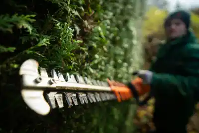 Worker carrying out Hedge & Conifer Trimming | Elite Tree Surgeons Telford
